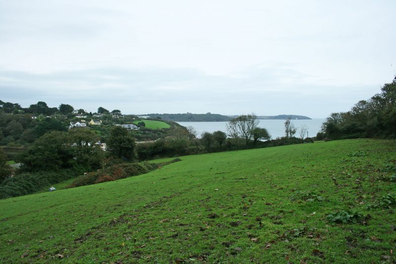 Swanpool Site Small